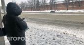Нижегородцам вернут один из автобусных маршрутов уже с завтрашнего дня