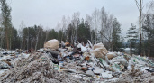 Росприроднадзор устроил проверку незаконной свалки на Московском шоссе после пожара