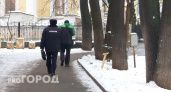 Почти 800 000 рублей за несколько дней потерял житель Шахуньи в погоне за легкими деньгами