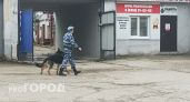 Бывший нижегородский военком, обвиненный во взятках, сбежал из-под ареста на СВО