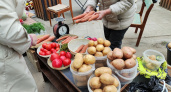 Растет в жару и дожди и не болеет: этот картофель даст вам богатый урожай — минимум хлопот