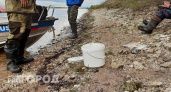 В Нижегородской области с начала апреля ввели запреты для рыболовов: что теперь нельзя
