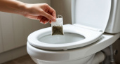 Покидая дом, бросаю чайный пакетик в унитаз – практичный совет от знакомой горничной