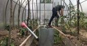 Для нагрева теплицы обогреватель не нужен — есть метод лучше: теперь рассада будет чувствовать себя как на курорт