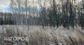 Синоптик назвал точную дату новой волны заморозков в Нижегородской области