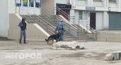 В Нижнем Новгороде поймали москвича, торговавшего порохом