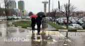 До +12 и дождь ожидает нижегородцев во вторник