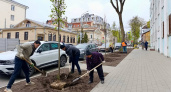 В Нижнем Новгороде высадят более 1500 деревьев и кустарников
