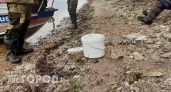 В реки Нижегородской области выпустили несколько тонн мальков