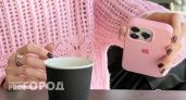 Нижегородка в декрете поверила в быстрый заработок и осталась без 100 000 рублей