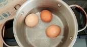 Нужно ли остужать яйца после варки в холодной воде: запомните это правило раз и навсегда