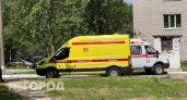 Нижегородцы массово обращаются в "скорую" из-за аномальной жары