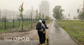 В Нижнем Новгороде электросамокаты сбили 10-летнего велосипедиста и двухлетнего ребенка