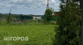 Родные погибших бойцов СВО из Городецкого района обнаружили, что с могил их близких воруют флаги РФ