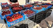 Цены, опт, сбор своими руками: где уже сейчас нижегородцы могут купить свежую клубнику
