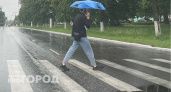 Неделя в Нижнем Новгороде закончится дождями и грозами