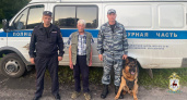В Городецком районе спасли 81-летнего грибника, заблудившегося в лесу