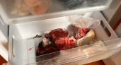 Срочно выкиньте эти продукты из своей морозилки - они превращаются в яд: какую еду нельзя там хранить ни в коем случае