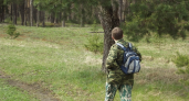 Четырнадцать районов Нижегородской области закрыли леса для посещения из-за угрозы пожаров