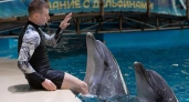 Нижегородский дельфинарий больше не пускает посетителей из-за брачного периода у животных 