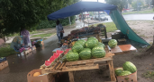 Почти 80 торговых точек свернули в Нижнем Новгороде за то, что там продавали продукты без разрешения