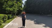 Жительница Шахунского района потеряла несколько сотен тысяч, решив стать инвестором