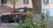 Директор организации в Нижнем Новгороде предстанет перед судом из‑за падения ветки на 8‑летнюю девочку