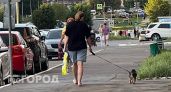 Денежный поток накроет с головой: три знака, которым судьба приготовила богатство после 15 августа
