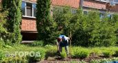Успейте посадить до первого снега: эти многолетники не боятся заморозков и пышно цветут весной - советы садоводов