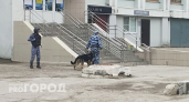 Богородский чиновник избежал тюрьмы за хищение 4 миллионов с помощью своей компании