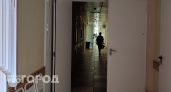 В Нижегородской области обнаружили новый штамм коронавируса
