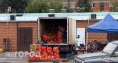 В Нижегородскую область завезли овощи и фрукты, в которых устроили "квартирник" насекомые