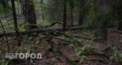 Из Красной книги Нижегородской области исключили 59 видов животных и растений