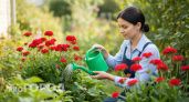 Самые неприхотливые многолетники для ленивых: роскошно цветут все лето и не требуют внимания
