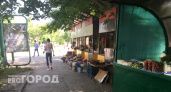 В Ленинском районе Нижнего Новгорода поймали 70 продавцов, которые торговали незаконной едой