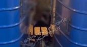 Молодой человек упал под поезд на станции "Двигатель Революции" в Нижнем Новгороде