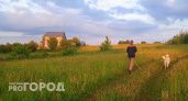 Некоторым нижегородцам запретят выгуливать собак: новые правила от правительства РФ