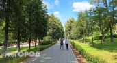Нижегородцев в пятницу ждет солнечная погода