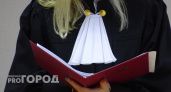 Суд отказал немцу в возвращении ребенка, вывезенного нижегородкой 
