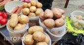 Храню картофель и свеклу до весны без погреба — секрет, который должен знать каждый