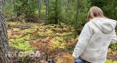 МЧС выпустило важное предупреждение для жителей Нижегородской области: коснется любителей погулять на природе