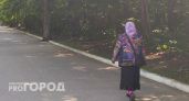 У пенсионерки из Дзержинска забрали почти 12 тысяч долларов США
