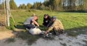 Минэкологии Нижегородской области прокомментировало ситуацию на экотропе в Городецком районе