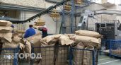 Власти Нижегородской области собираются на территории региона разместить китайские производства