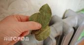 С первыми холодами кладу лавровый лист на батарею и живу припеваючи - вся семья ощущает разницу: вот, что происходит
