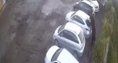 Нападение медведя и повышение зарплат: главные новости за 25 сентября в Нижнем Новгороде