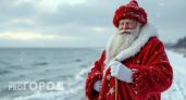 Как встретишь Новый год, так его и проведешь. Новый год 2026 в Сочи: горы, море и сказочные развлечения