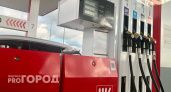 В Нижегородской области могут провести проверки АЗС после жалоб на дорогой бензин