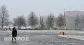 Когда в Нижнем Новгороде пойдет первый снег: синоптики назвали точную дату