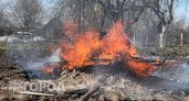 Нижегородцев предупредили: за неправильное сжигание листвы грозит крупный штраф